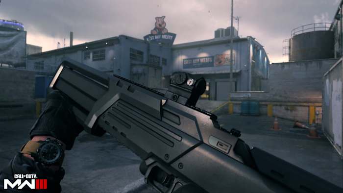 RAM-7 AR MW3